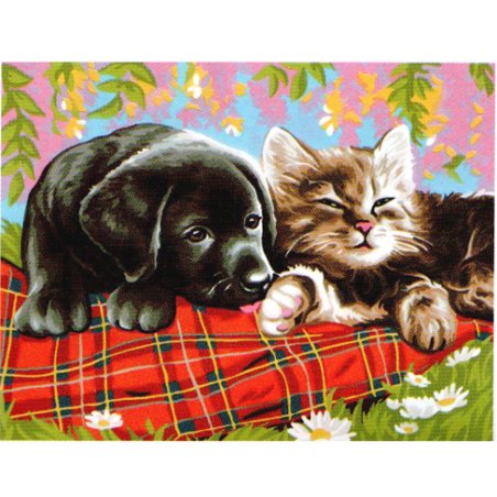 Peinture numéro - Comme chien et chat