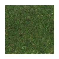 Carré herbe artificielle 30x30cm