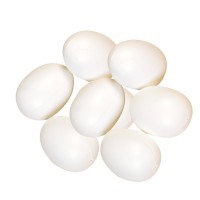 Oeufs plastique 60mm blanc x25