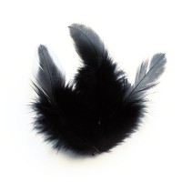 Plumes de coq Noir - 10cm - 3g 
