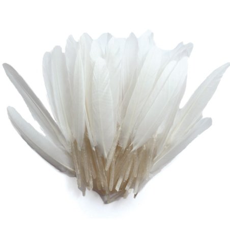 Plumes d'indien blanches 15cm - 10g