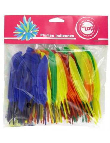 Plumes indiennes multicolores x120