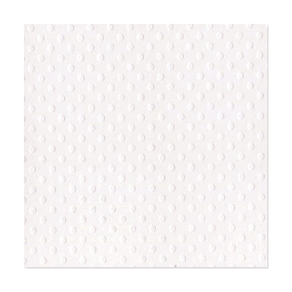 Bazzill Basics Paper - Dotted Salt (Blanc) x25