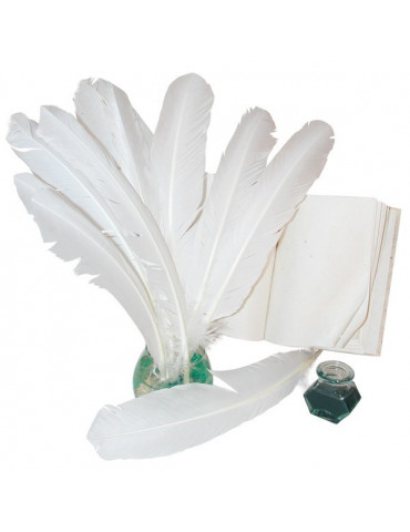 Grandes plumes blanches 34cm x10
