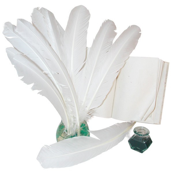 Grandes plumes blanches 34cm x10