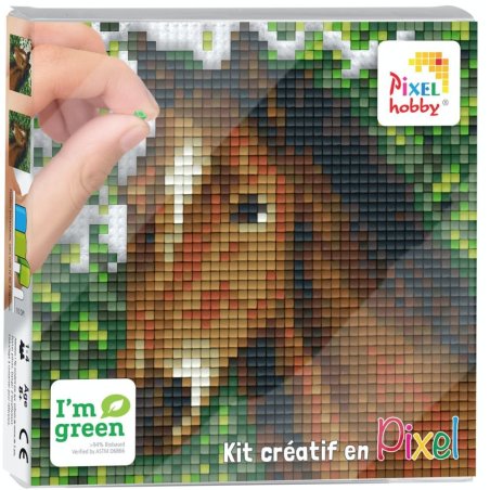 Kit créatif PIXEL - Tête de cheval 12x12cm - Pixel Hobby