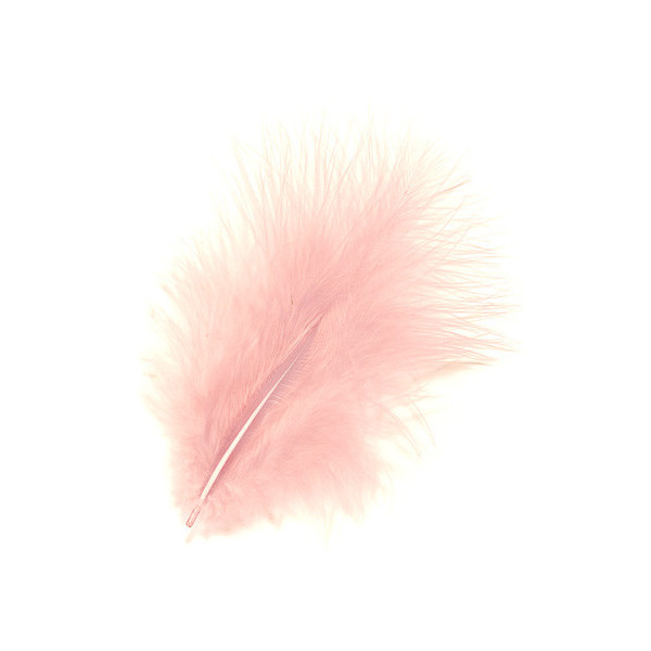 Plumes Marabout rose x10