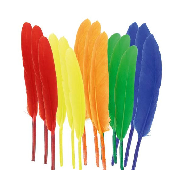 Plumes indiennes multicolores x120