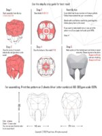Molaire en papercraft 3D