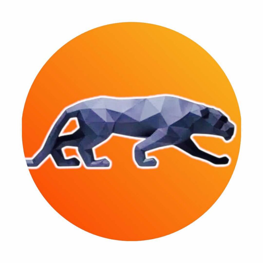 Papercraft de panthère noire en 3D