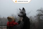 Papercraft masque de loup en 3D