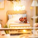 Book Nook - Loft Rose