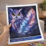 Broderie Diamant - Chouette et Plume