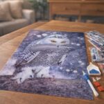 Broderie Diamant - Chouette et Plume