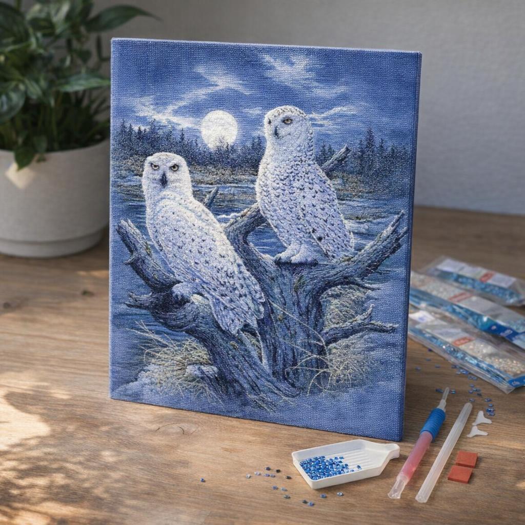 Broderie Diamant - Chouettes et Lune