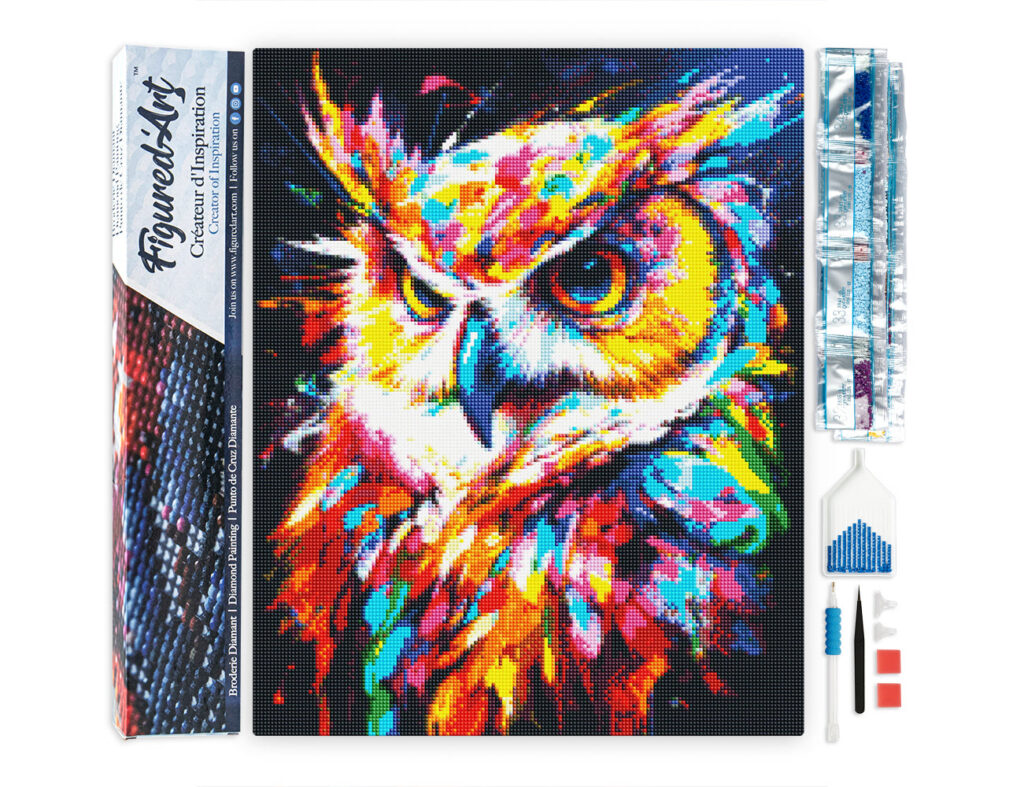 Broderie Diamant - Hibou Coloré Abstrait