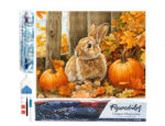 Broderie Diamant - Lapin et citrouilles