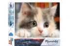 Broderie Diamant - Petit Chat curieux