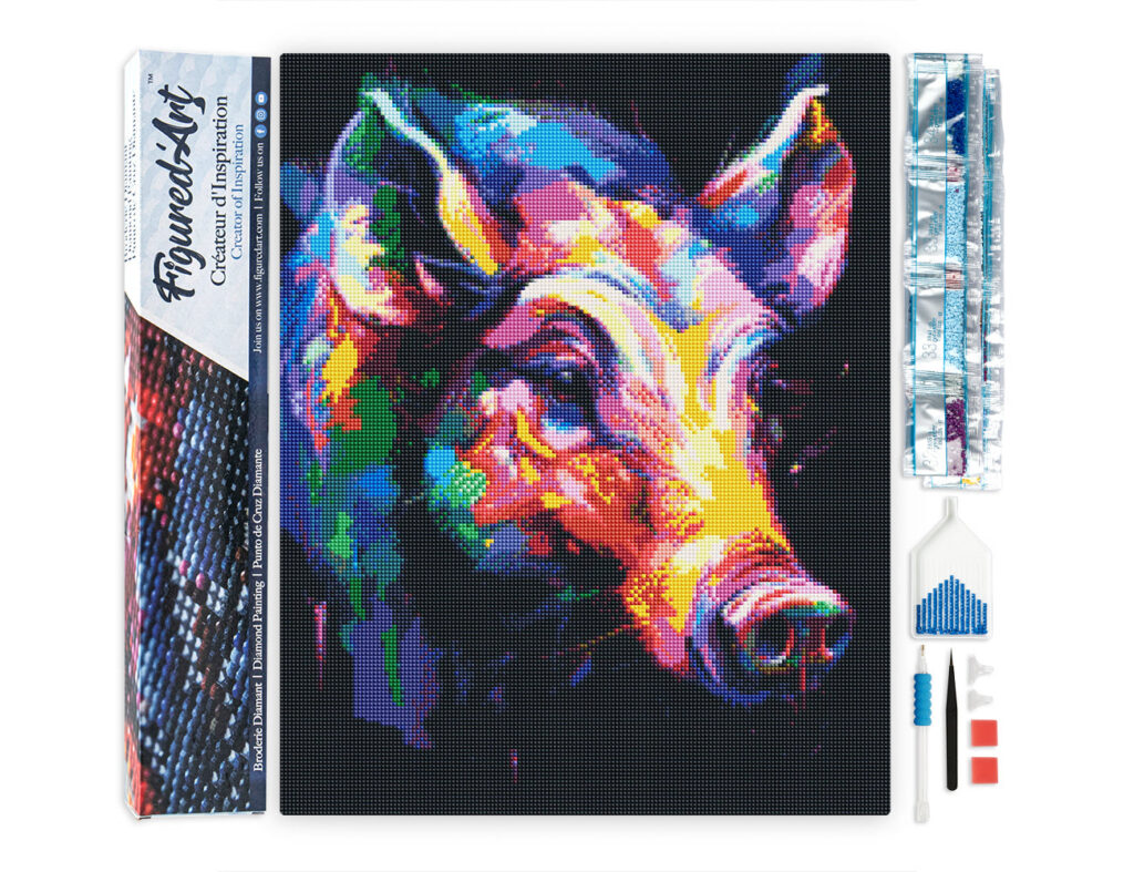 Broderie Diamant - Sanglier Coloré Abstrait