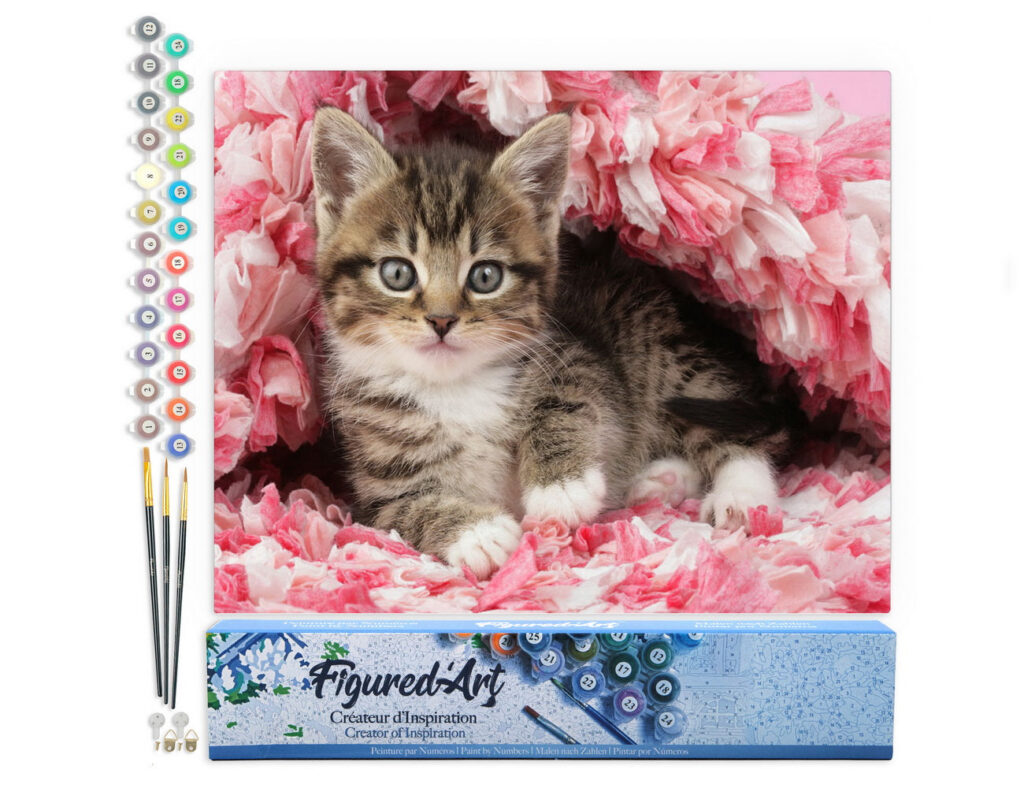 Chaton enrobé - Toile roulée