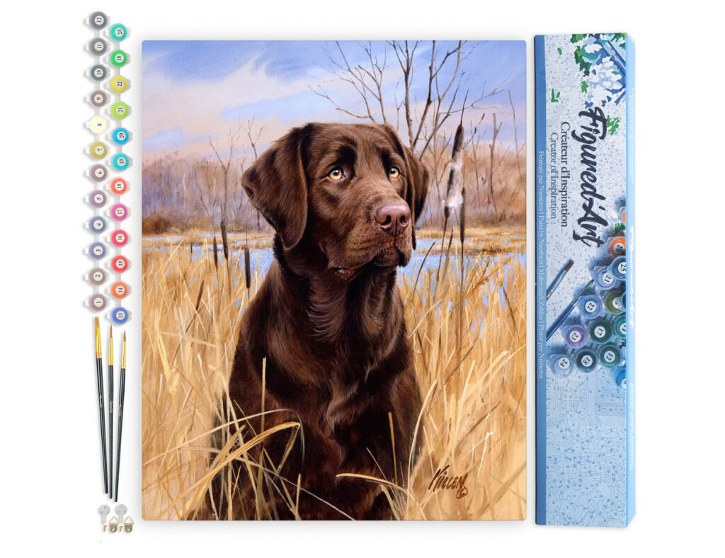 Chien Labrador - Toile roulée