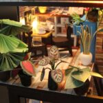 Maison Miniature Pause Café