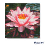 Mini Diamond Painting 25x25cm avec cadre - Nénuphar Rose